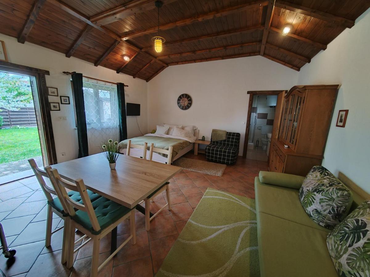 Studio Apartman Buteo Jastrebarsko Εξωτερικό φωτογραφία